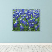 Texas Bluebonnets Feld 2 Stretchierte Canvas Print Leinwanddruck (Insitu (Holzboden))