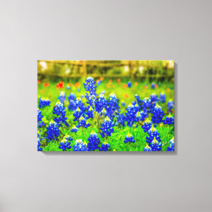 Texas Bluebonnets Field Rustic Blue Wildblumen Leinwanddruck