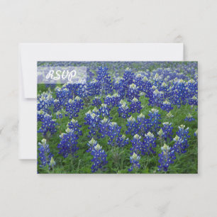 Texas Bluebonnets Foto auf schwarzen RSVP-Karten Einladung