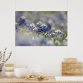 Texas Bluebonnets Fotoserie #5 Poster (Küche)