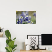 Texas Bluebonnets Fotoserie #7 Poster (Heimbüro)