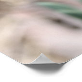 Texas Bluebonnets Fotoserie #8 Poster (Ecke)