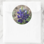 Texas Bluebonnets Fotoserie #9 Runder Aufkleber (Tasche)