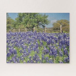 Texas Bluebonnets großes Puzzle
