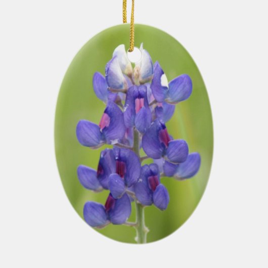 Texas Bluebonnets Happy Oaster Egg Ornament (Hinten)