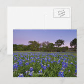 Texas Bluebonnets in Bloom Postcard Postkarte (Vorne/Hinten)