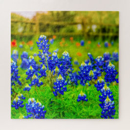 Texas Bluebonnets Indian Floral Nature Travel Puzzle