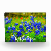 Texas Bluebonnets Indian Paintbrush Family Name Fotoblock (Vorderseite)