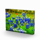 Texas Bluebonnets Indian Paintbrush Family Name Fotoblock (Rechts)