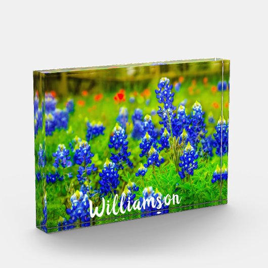 Texas Bluebonnets Indian Paintbrush Family Name Fotoblock (Links)