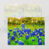 Texas Bluebonnets Indian Paintbrush Floral Postkarte (Vorne/Hinten)