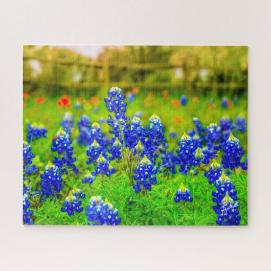 Texas Bluebonnets Indian Paintbrush Floral Puzzle (Horizontal)