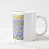 Texas Bluebonnets Jumbo-Tasse (Rechts)