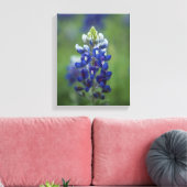 Texas Bluebonnets Leinwanddruck (Insitu (Wohnzimmer))