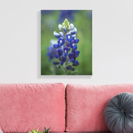 Texas Bluebonnets Leinwanddruck (Insitu (Wohnzimmer))