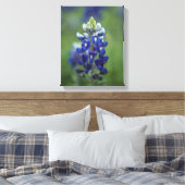 Texas Bluebonnets Leinwanddruck (Insitu (Schlafzimmer))
