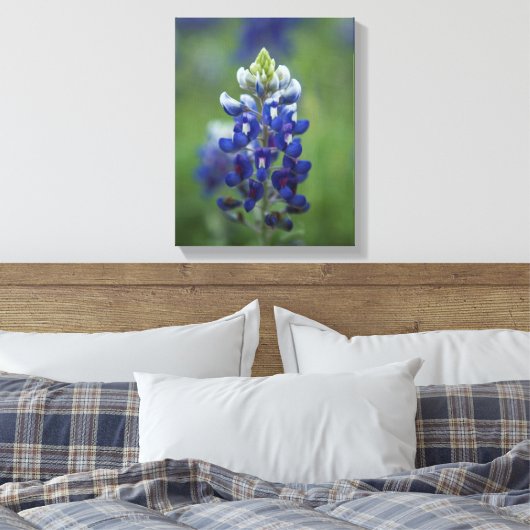 Texas Bluebonnets Leinwanddruck (Insitu (Schlafzimmer))