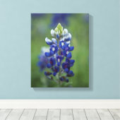 Texas Bluebonnets Leinwanddruck (Insitu (Holzboden))