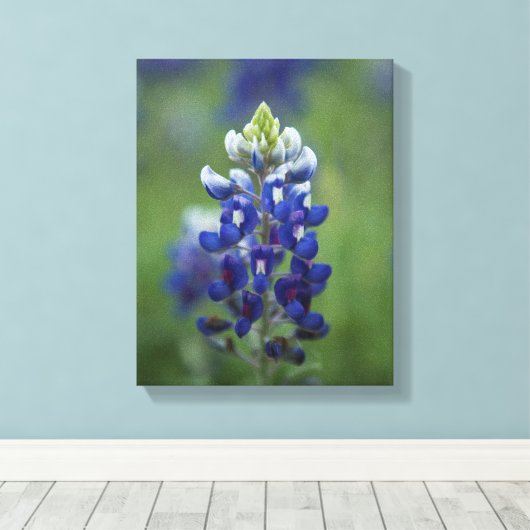 Texas Bluebonnets Leinwanddruck (Insitu (Holzboden))