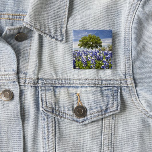 Texas bluebonnets (Lupinus texensis) und Eiche Button (Beispiel)