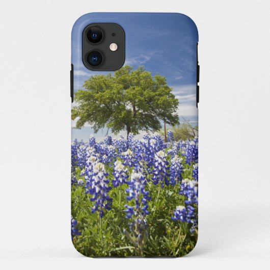 Texas bluebonnets (Lupinus texensis) und Eiche Case-Mate iPhone Hülle (Rückseite)
