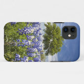 Texas bluebonnets (Lupinus texensis) und Eiche Case-Mate iPhone Hülle (Rückseite (Horizontal))