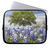 Texas bluebonnets (Lupinus texensis) und Eiche Laptopschutzhülle (Vorderseite)