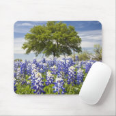 Texas bluebonnets (Lupinus texensis) und Eiche Mousepad (Mit Mouse)