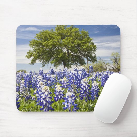 Texas bluebonnets (Lupinus texensis) und Eiche Mousepad (Mit Mouse)
