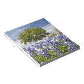 Texas bluebonnets (Lupinus texensis) und Eiche Notizblock (angewinkelt)