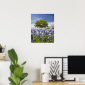 Texas bluebonnets (Lupinus texensis) und Eiche Poster (Heimbüro)