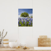 Texas bluebonnets (Lupinus texensis) und Eiche Poster (Küche)