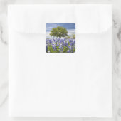 Texas bluebonnets (Lupinus texensis) und Eiche Quadratischer Aufkleber (Tasche)