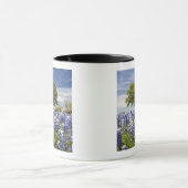 Texas bluebonnets (Lupinus texensis) und Eiche Tasse (Zentrum)