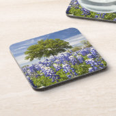 Texas bluebonnets (Lupinus texensis) und Eiche Untersetzer (Linke Seite)