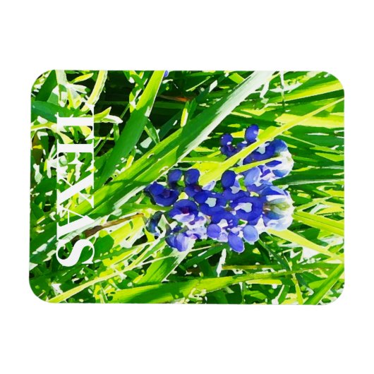 Texas Bluebonnets Magnet (Horizontal)