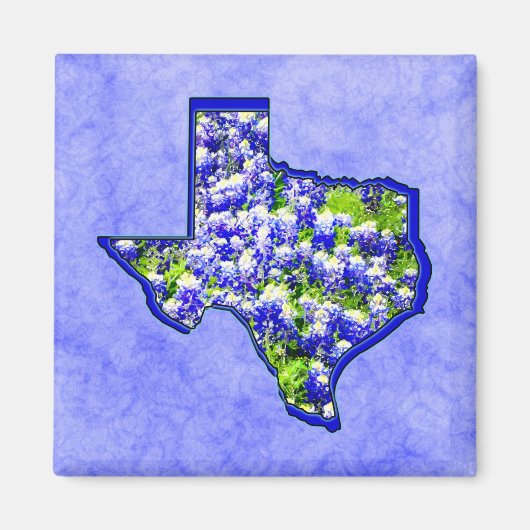 TEXAS BLUEBONNETS MAGNET (Vorne)