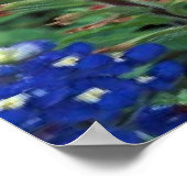 Texas Bluebonnets & Paintbrush Blume Art Print Poster (Ecke)