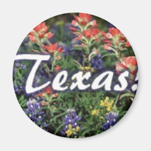 Texas Bluebonnets Pinsel Magnet (Vorne)