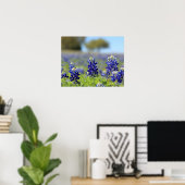 Texas Bluebonnets Poster (Heimbüro)