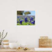 Texas Bluebonnets Poster (Küche)