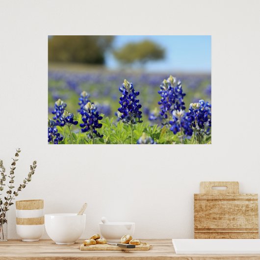 Texas Bluebonnets Poster (Küche)