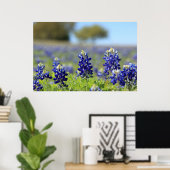 Texas Bluebonnets Poster (Heimbüro)
