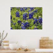 Texas Bluebonnets Poster (Küche)