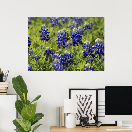 Texas Bluebonnets Poster (Heimbüro)