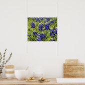 Texas Bluebonnets Poster (Küche)