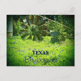 Texas bluebonnets postkarte