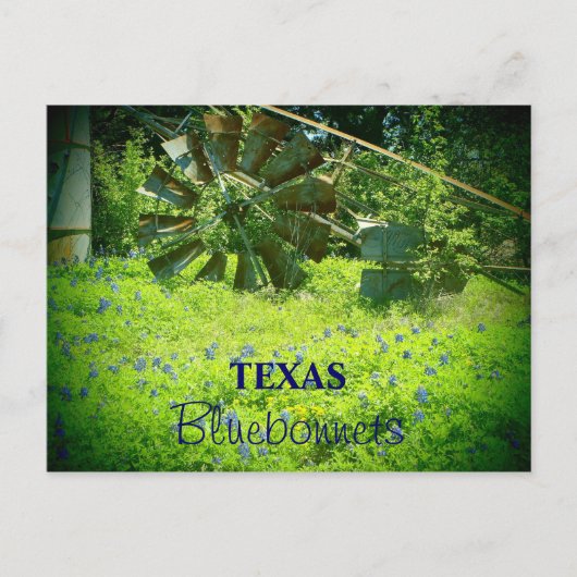 Texas bluebonnets postkarte (Vorderseite)