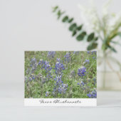 Texas Bluebonnets Postkarte (Stehend Vorderseite)