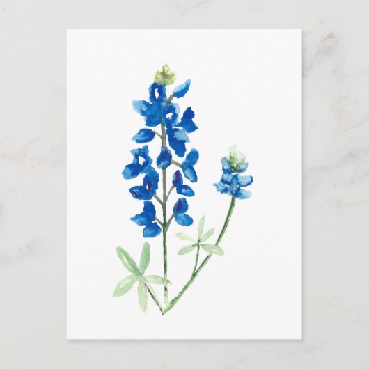 Texas Bluebonnets Postkarte (Vorderseite)